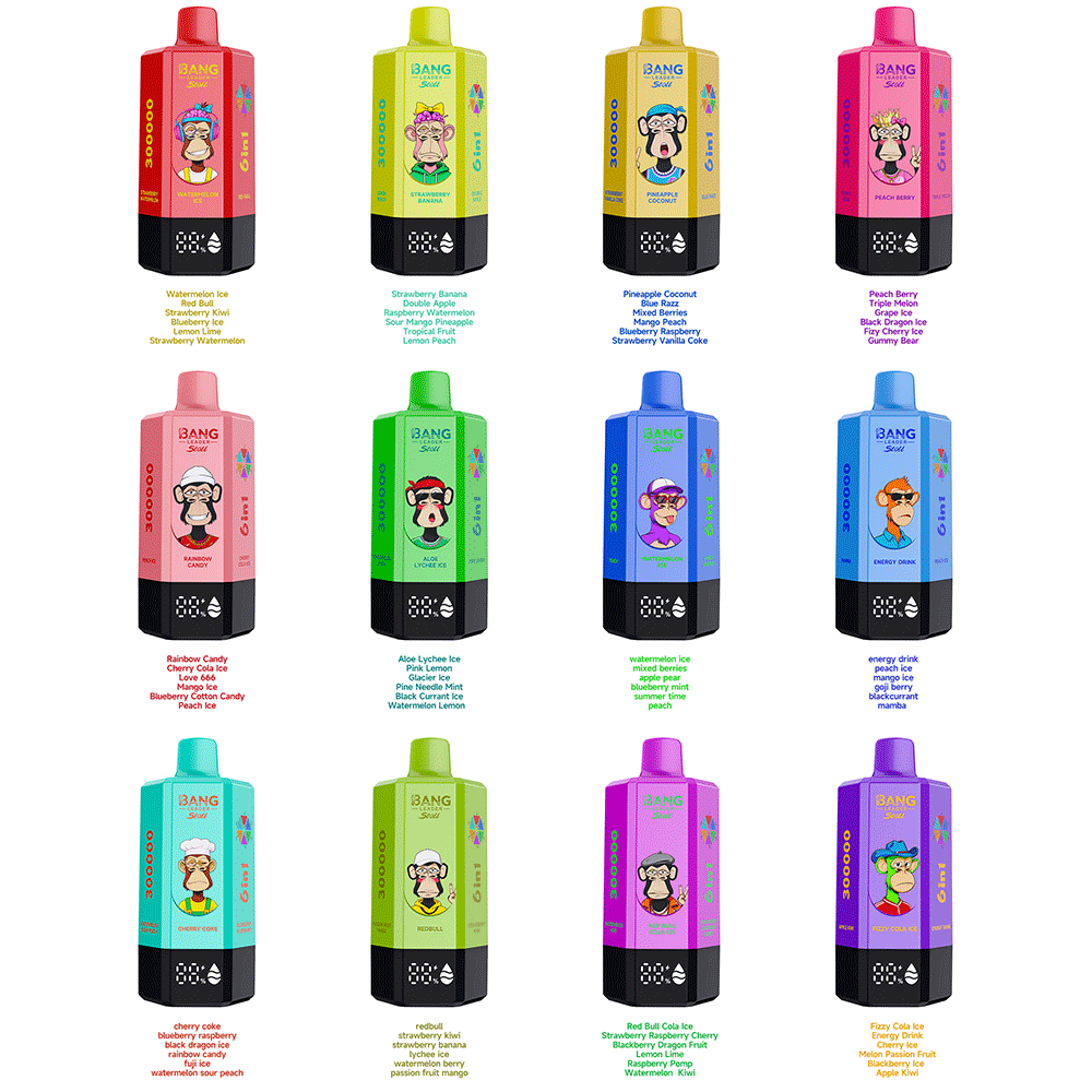 Bang Leader 300K 300000 Puffs 6-in-1 Flavors Rechargeable LED Display Disposable Vape - Image 3