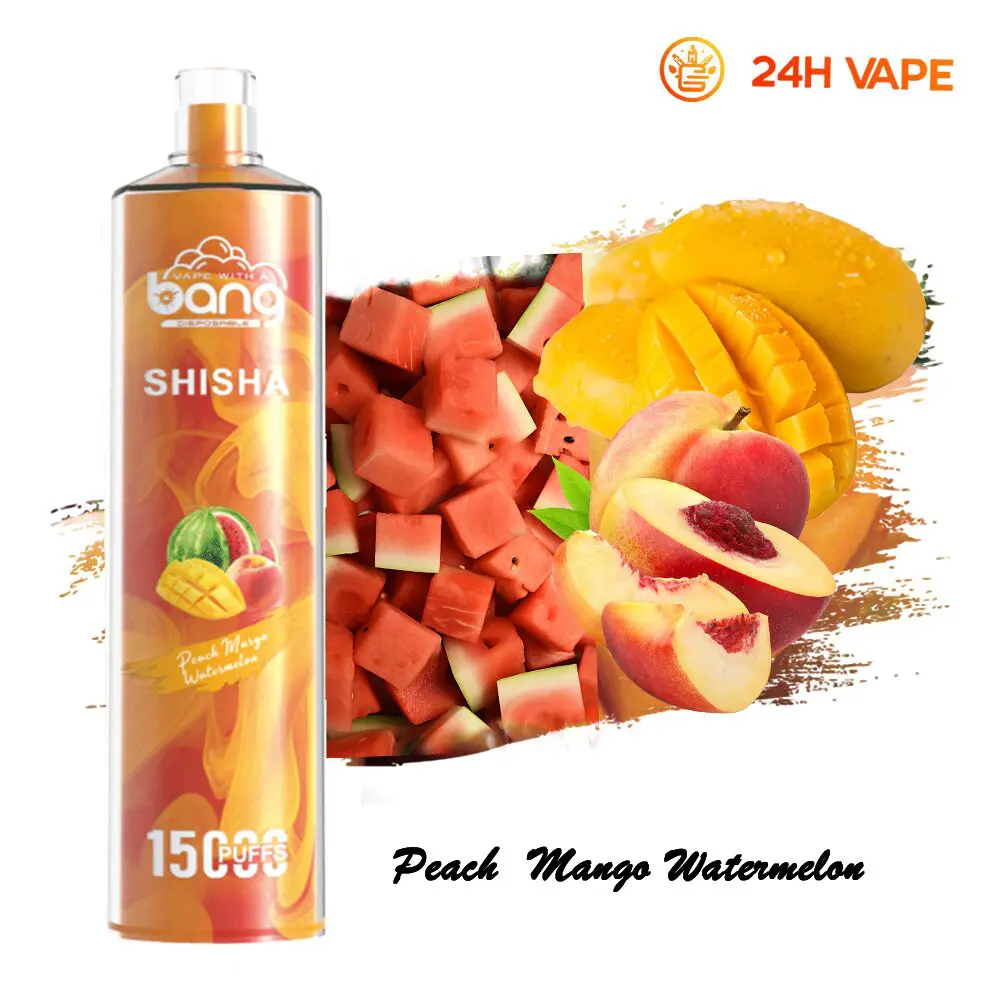 Bang SHISHA 15000 Puffs Direct To Lung Disposable Electronic Cigarette New Vape Pen - Image 38
