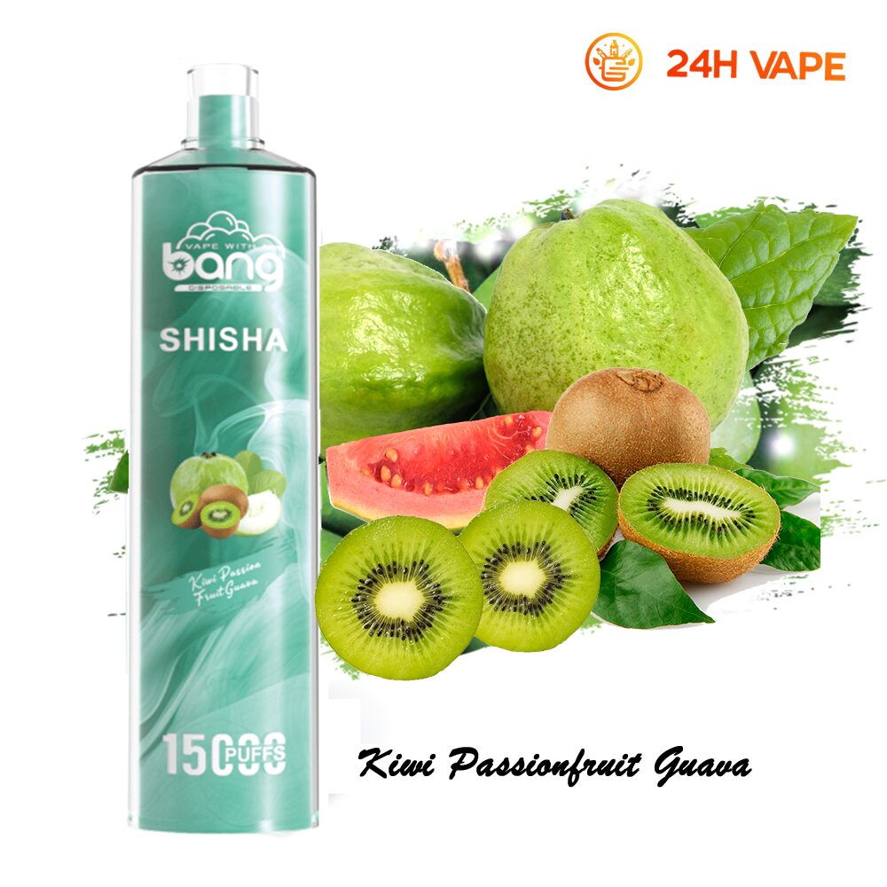 Bang SHISHA 15000 Puffs Direct To Lung Disposable Electronic Cigarette New Vape Pen - Image 21