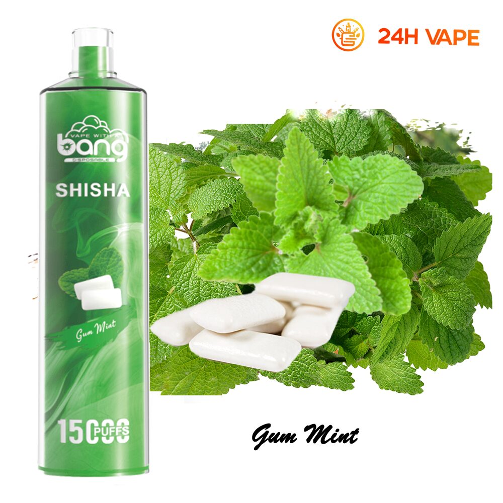 Bang SHISHA 15000 Puffs Direct To Lung Disposable Electronic Cigarette New Vape Pen - Image 25