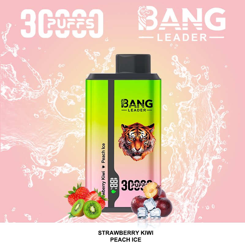 Bang Leader 30000 Puffs 2 in 1 Dual Flavors Disposable Vape 36ml 0-5% Nicotine