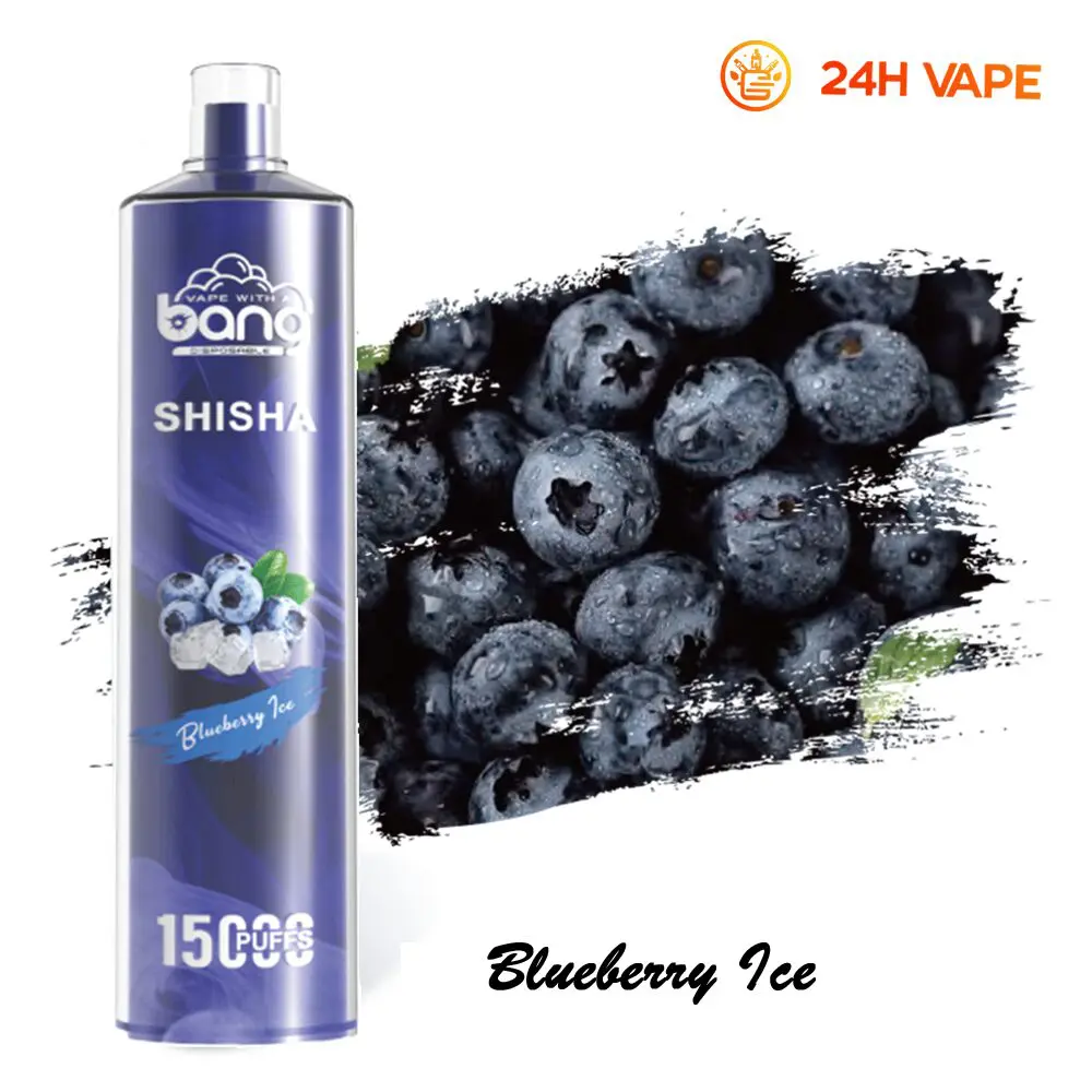 Bang SHISHA 15000 Puffs Direct To Lung Disposable Electronic Cigarette New Vape Pen - Image 34