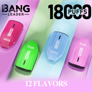 Bang Leader 18K Disposable Vape – Pure Flavor