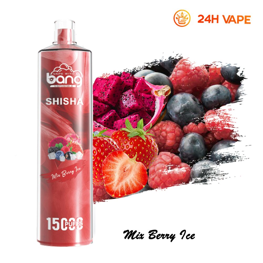 Bang SHISHA 15000 Puffs Direct To Lung Disposable Electronic Cigarette New Vape Pen - Image 17