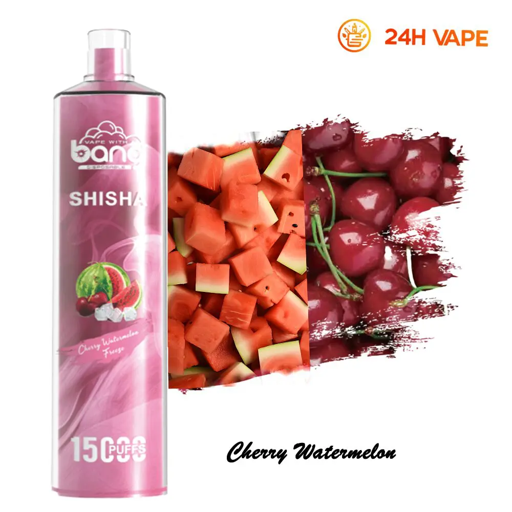 Bang SHISHA 15000 Puffs Direct To Lung Disposable Electronic Cigarette New Vape Pen - Image 32
