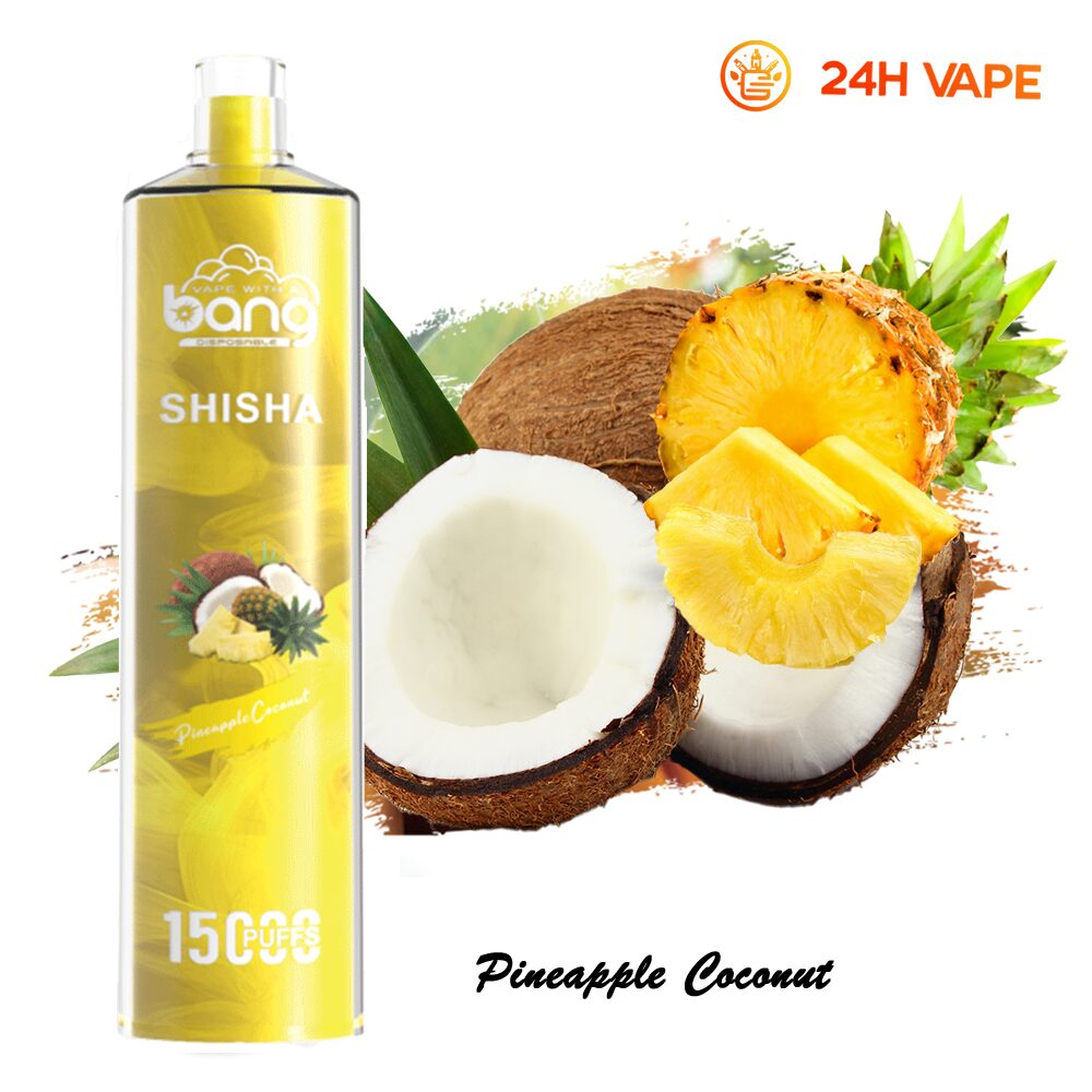 Bang SHISHA 15000 Puffs Direct To Lung Disposable Electronic Cigarette New Vape Pen - Image 15