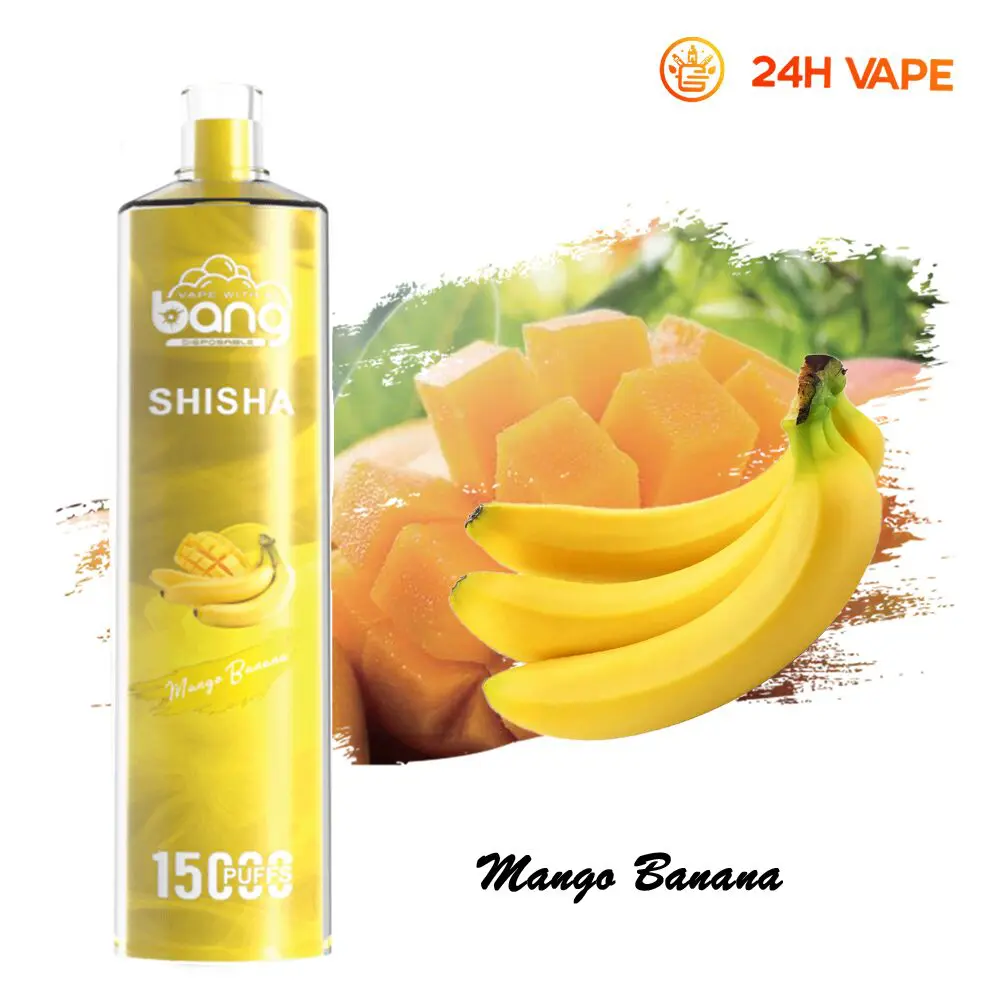 Bang SHISHA 15000 Puffs Direct To Lung Disposable Electronic Cigarette New Vape Pen - Image 40