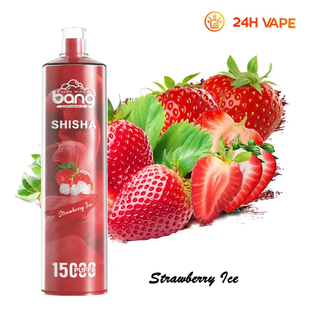Bang SHISHA 15000 Puffs Direct To Lung Disposable Electronic Cigarette New Vape Pen - Image 12